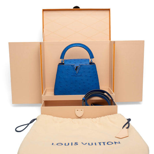Louis Vuitton Blue Ostrich Top Handle Bag
