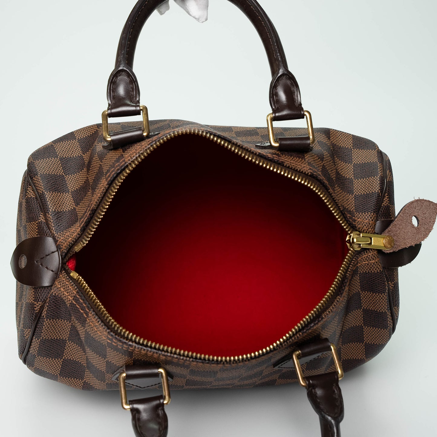 Louis Vuitton Damier Ebene Speedy 25 Handbag
