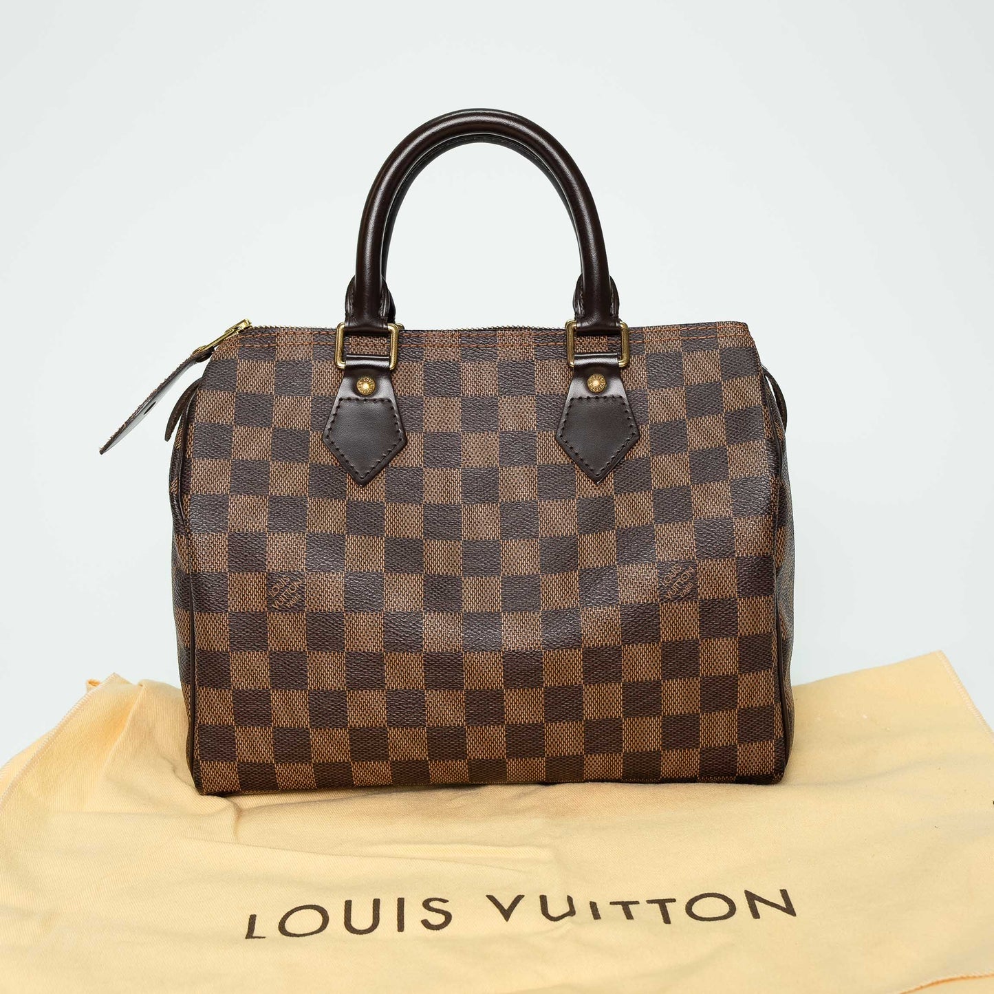 Louis Vuitton Damier Ebene Speedy 25 Handbag