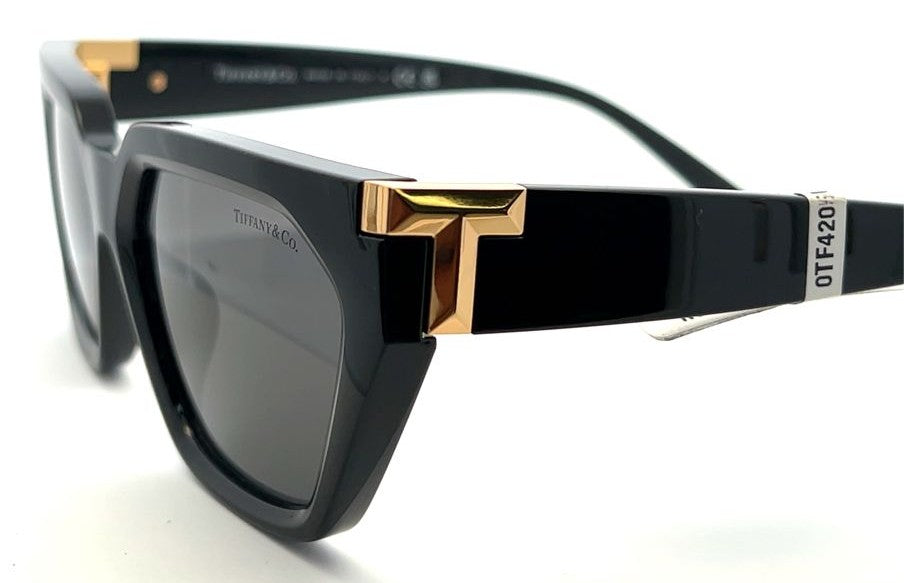 Tiffany & Co. Rectangle T-Emblem Sunglasses image 3