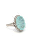 Platinum 15.06ct Paraiba Type & Diamond Cluster Ring image 1