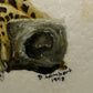 Hand Painted 'Cheetah Cubs Acinonyx Jubata' Ostrich Egg Shell image 3
