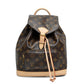 Louis Vuitton Montsouris MM Monogram Backpack