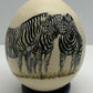 Hand Painted 'Zebras Equus Burchellii' Ostrich Egg Shell image 1