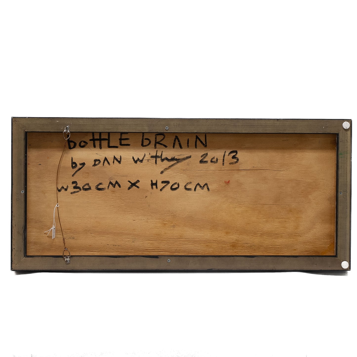 Dan Withey “Bottle Brain” (2013)