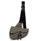 Christian Dior Saddle Oblique Crossbody Bag