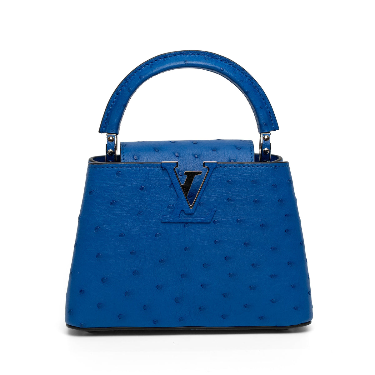 Louis Vuitton Blue Ostrich Top Handle Bag