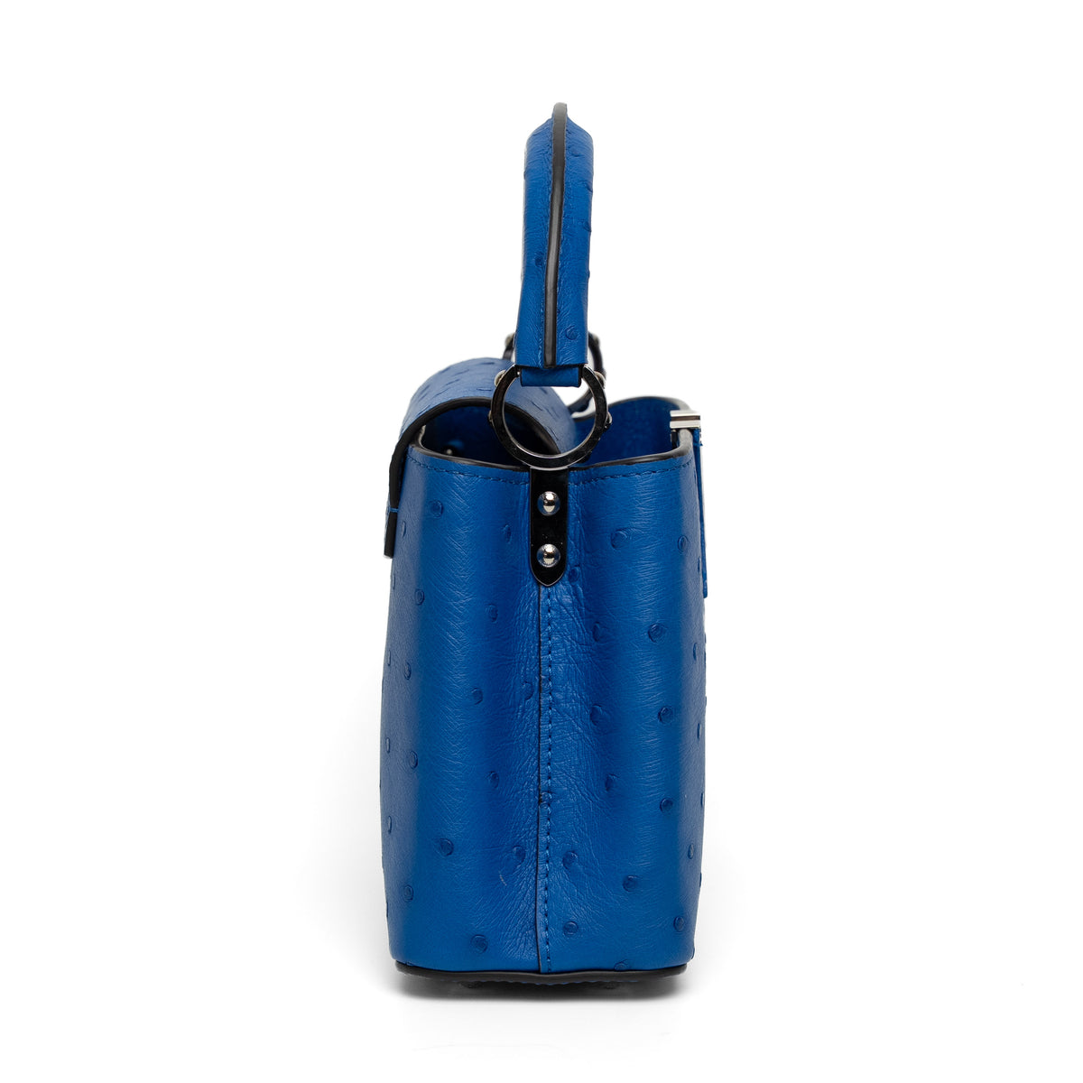 Louis Vuitton Blue Ostrich Top Handle Bag