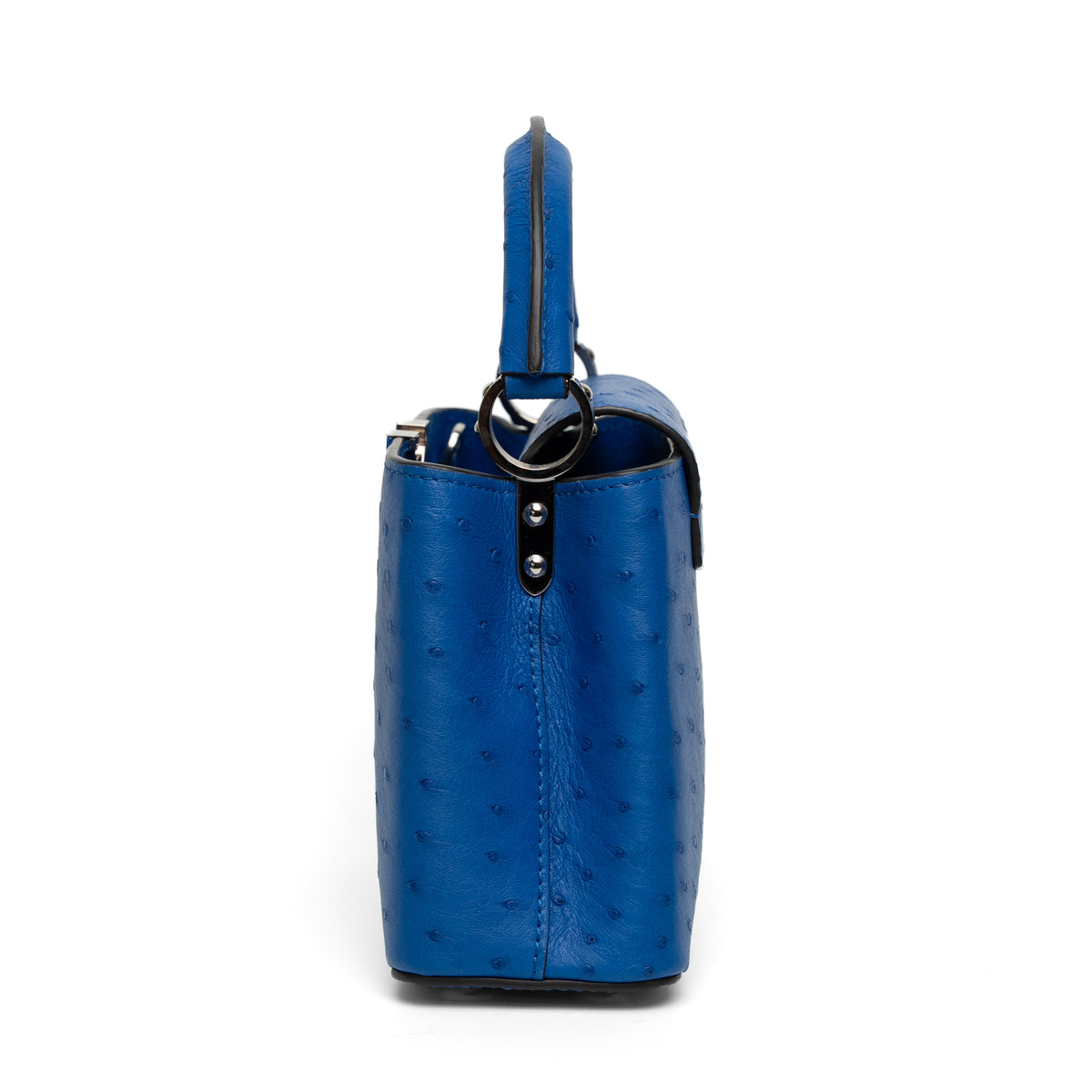 Louis Vuitton Blue Ostrich Top Handle Bag