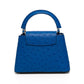Louis Vuitton Blue Ostrich Top Handle Bag