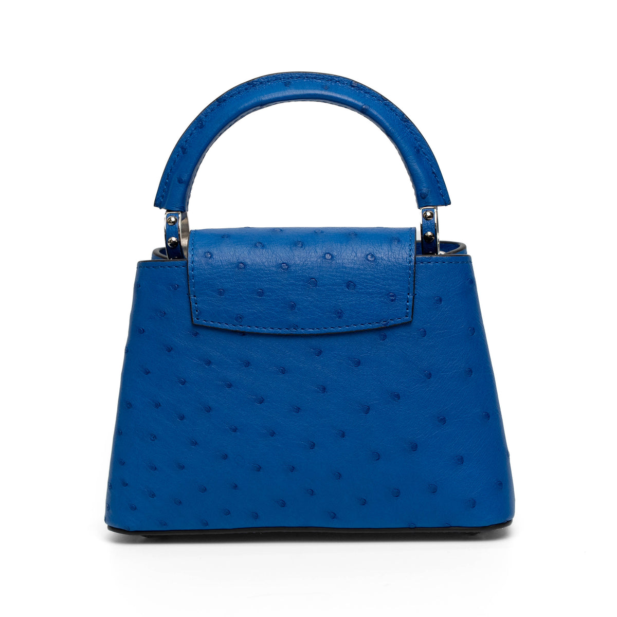 Louis Vuitton Blue Ostrich Top Handle Bag