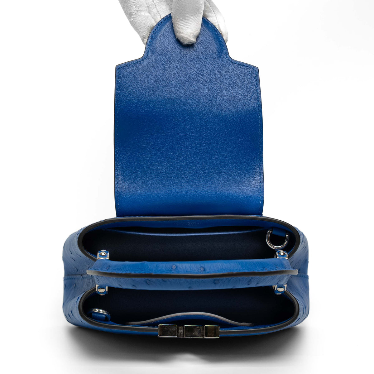 Louis Vuitton Blue Ostrich Top Handle Bag