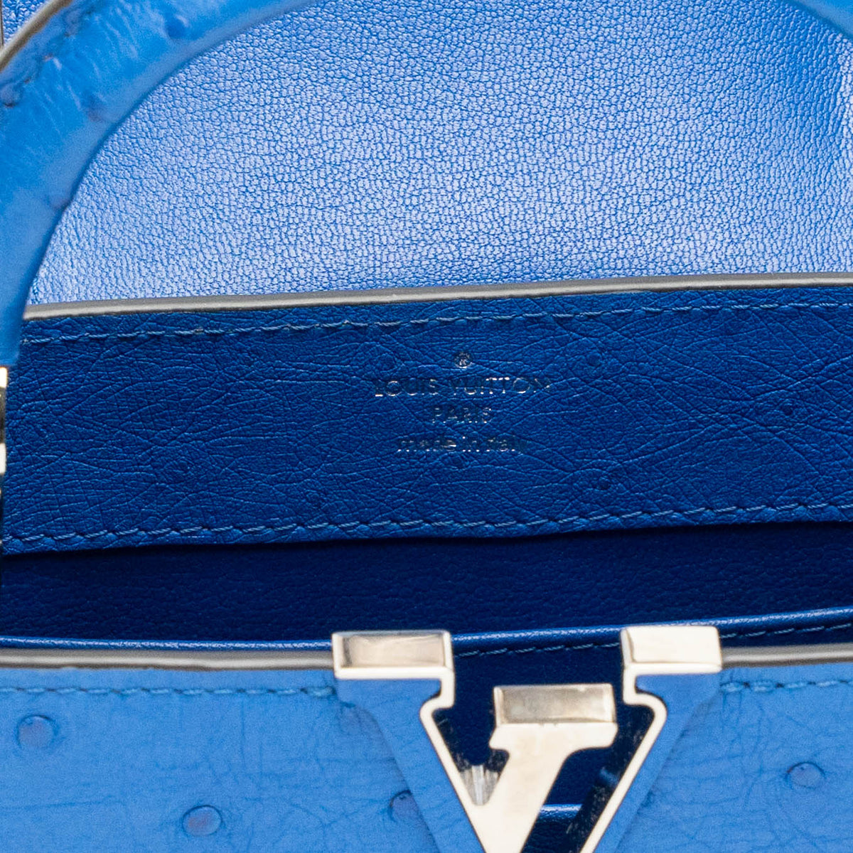 Louis Vuitton Blue Ostrich Top Handle Bag