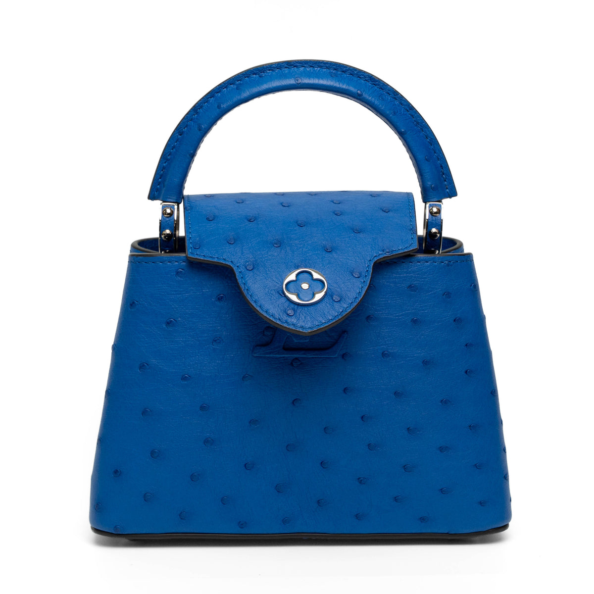 Louis Vuitton Blue Ostrich Top Handle Bag