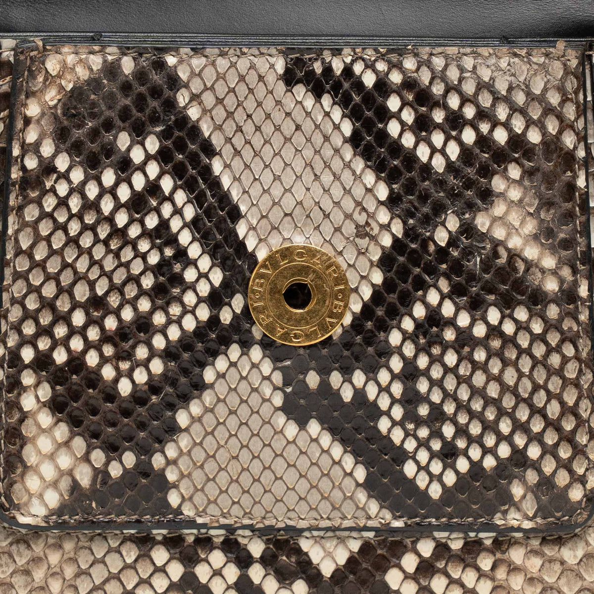 Bvlgari x Alexander Wang Serpenti Python Bag