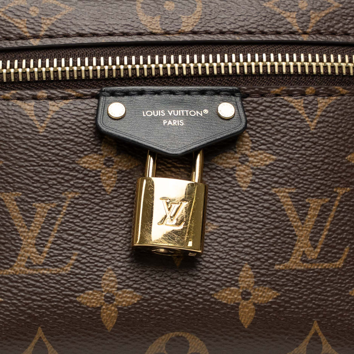 Louis Vuitton Reverse Monogram Vanity Chain Pouch