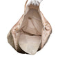 Chanel New Travel Line Beige Tote Bag