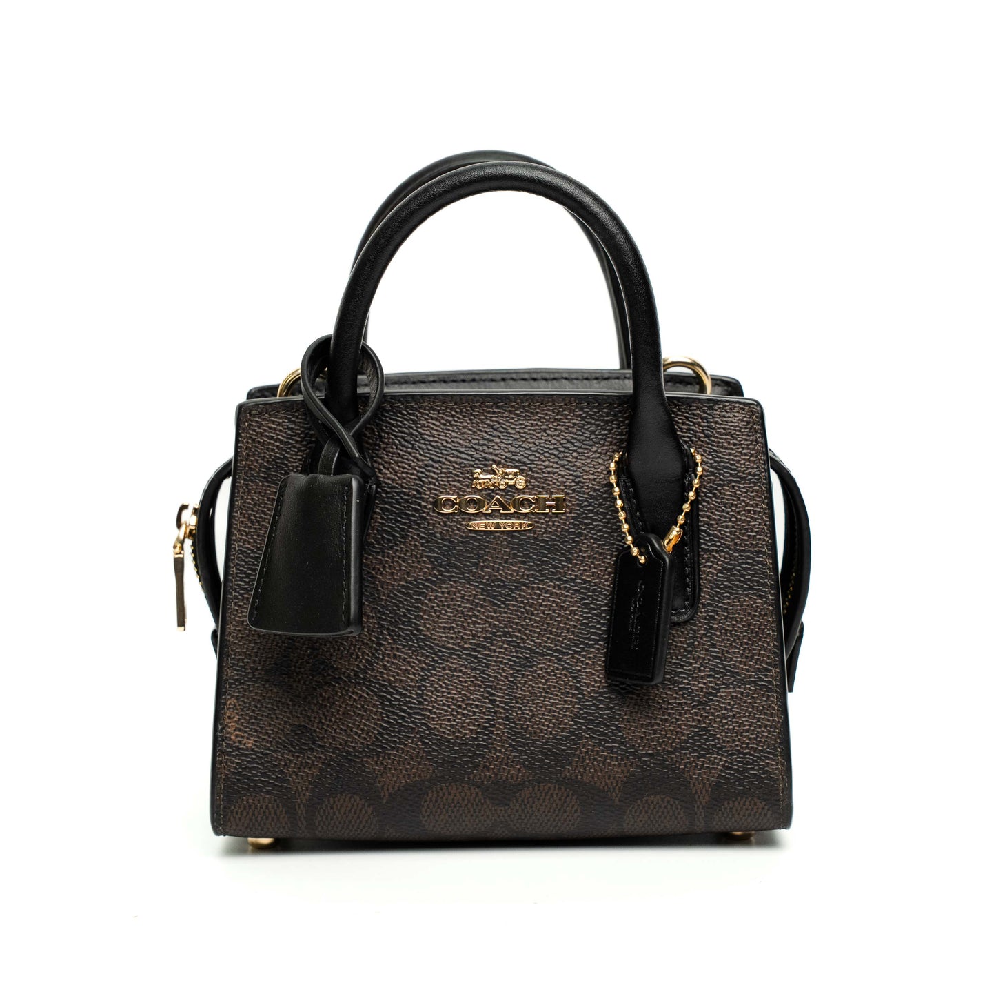 Coach Andrea Mini Signature Canvas Bag