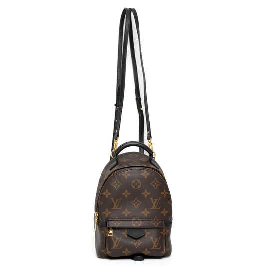 Louis Vuitton Palm Springs Mini Monogram Backpack