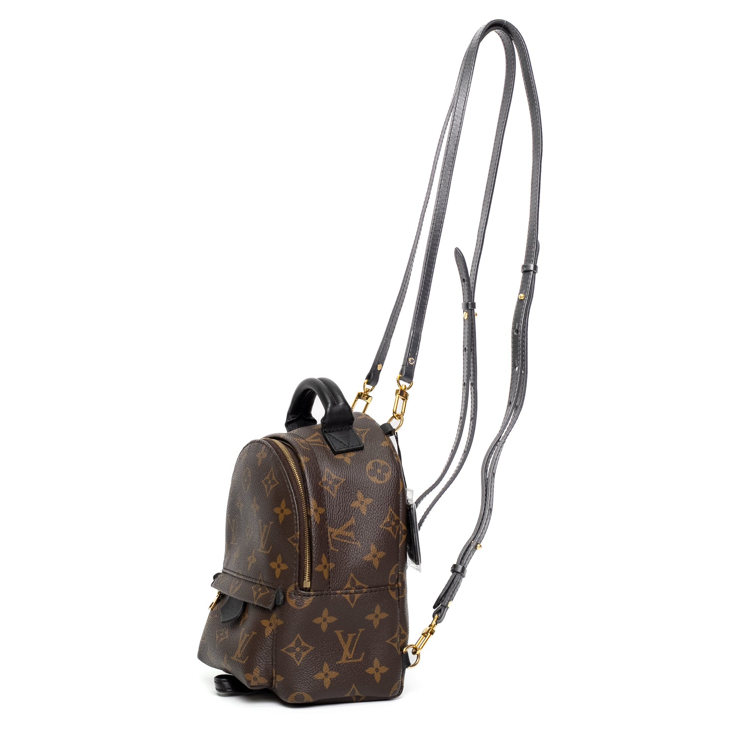 Louis Vuitton Palm Springs Mini Monogram Backpack