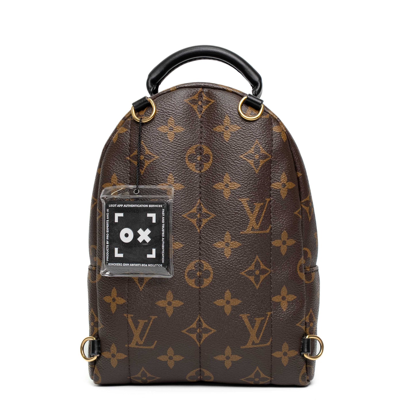Louis Vuitton Palm Springs Mini Monogram Backpack