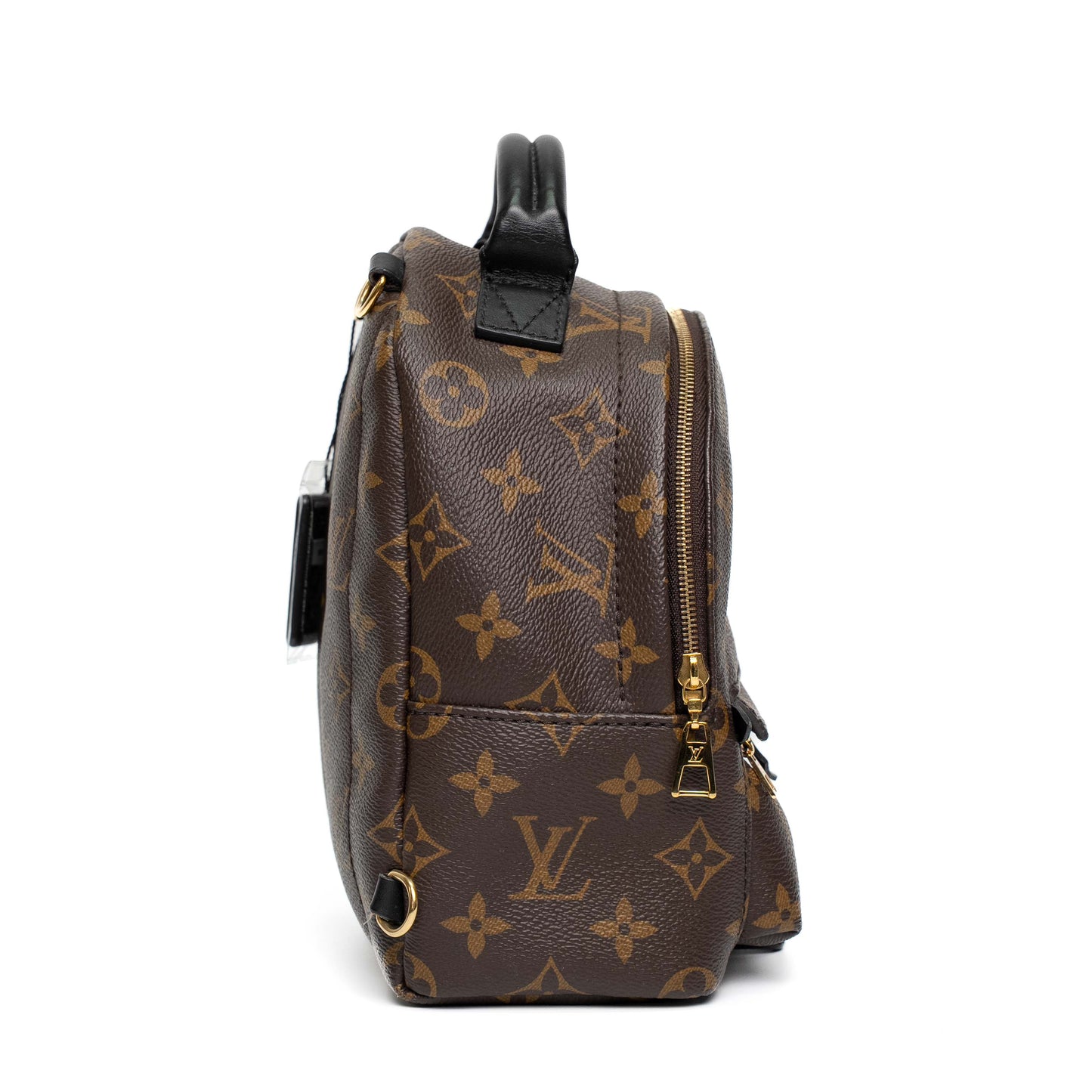 Louis Vuitton Palm Springs Mini Monogram Backpack