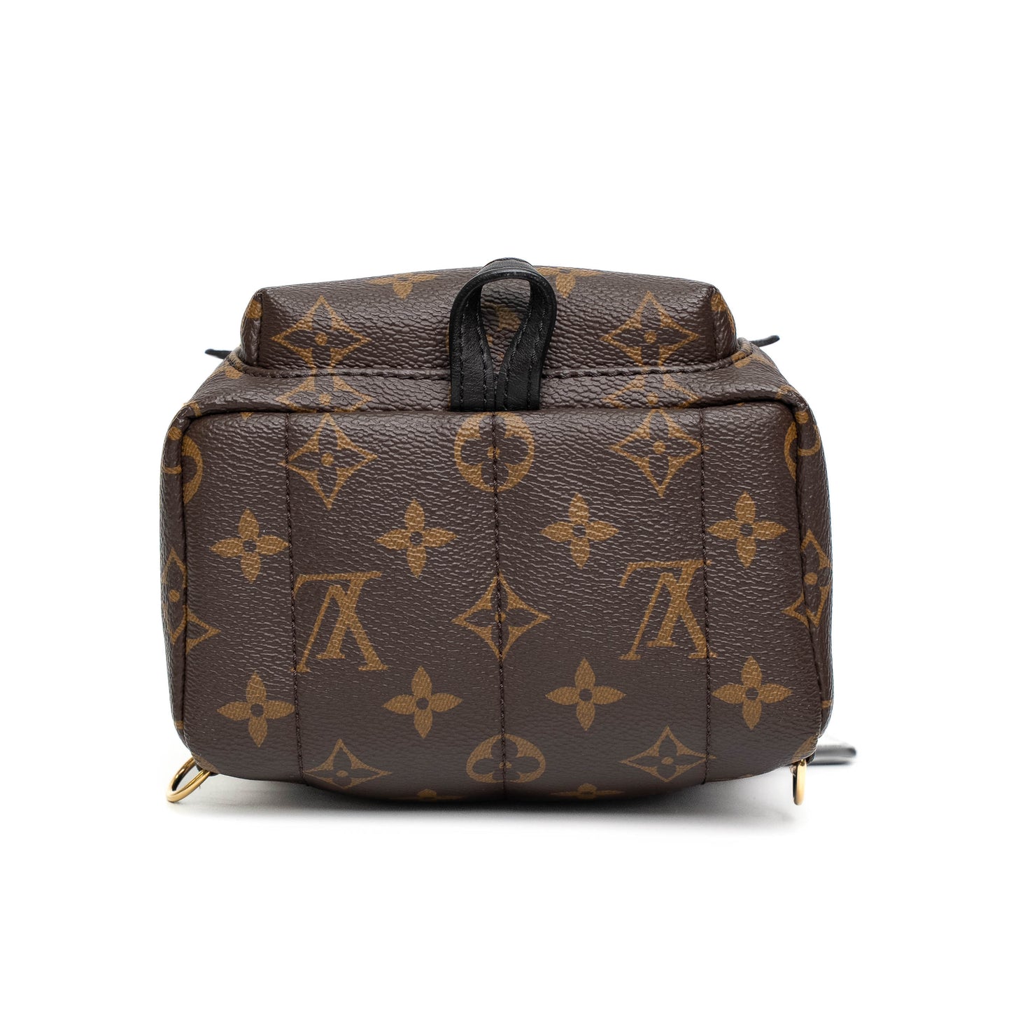 Louis Vuitton Palm Springs Mini Monogram Backpack