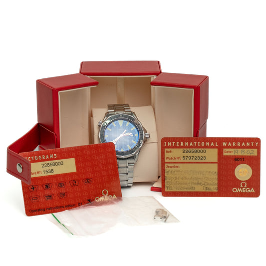 Omega Seamaster Professional Blue Dial Watch