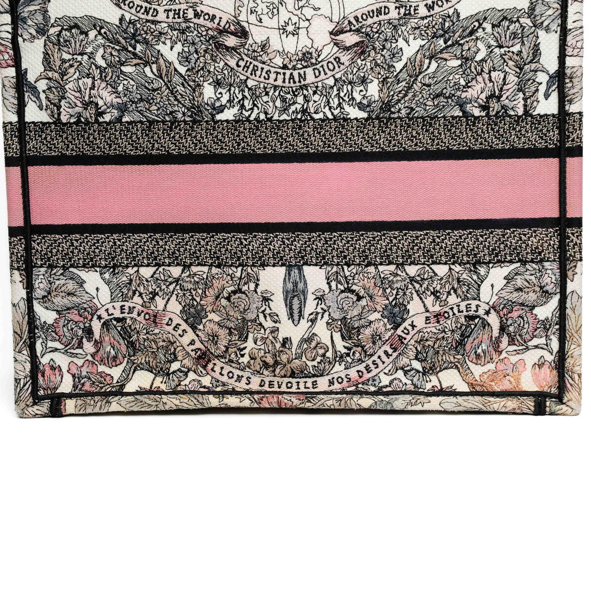 Christian Dior Medium Butterfly Book Tote Bag