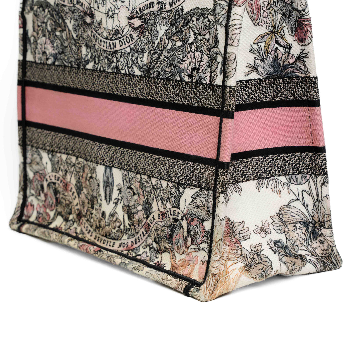 Christian Dior Medium Butterfly Book Tote Bag