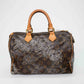 Louis Vuitton Embroidered Monogram Speedy Handbag