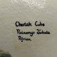 Hand Painted 'Cheetah Cubs Acinonyx Jubata' Ostrich Egg Shell image 4