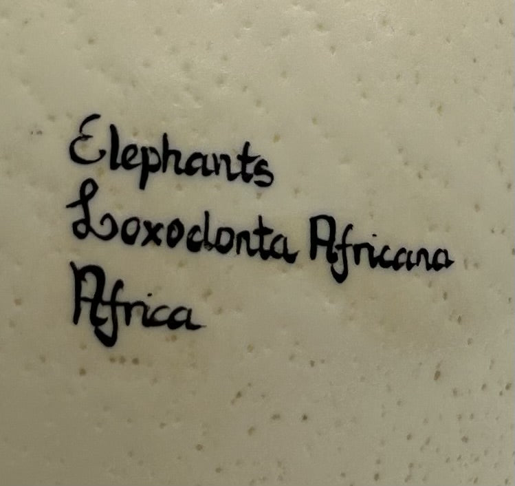 Hand Painted 'Elephants Loxodonta Africana' Ostrich Egg Shell image 2