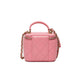 Chanel Pink Mini Vanity Case Bag