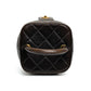 Chanel Lambskin Vanity Box Bag