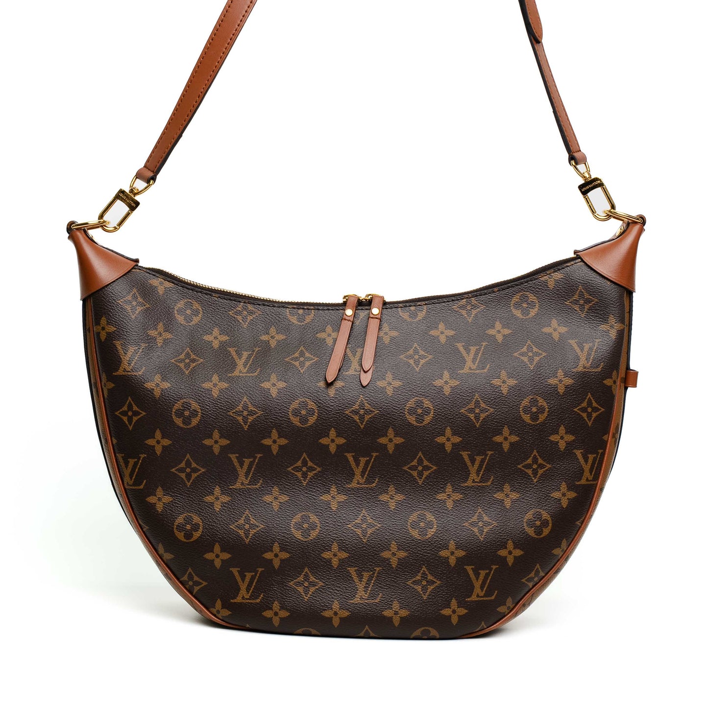 Louis Vuitton Loop Hobo Monogram Bag
