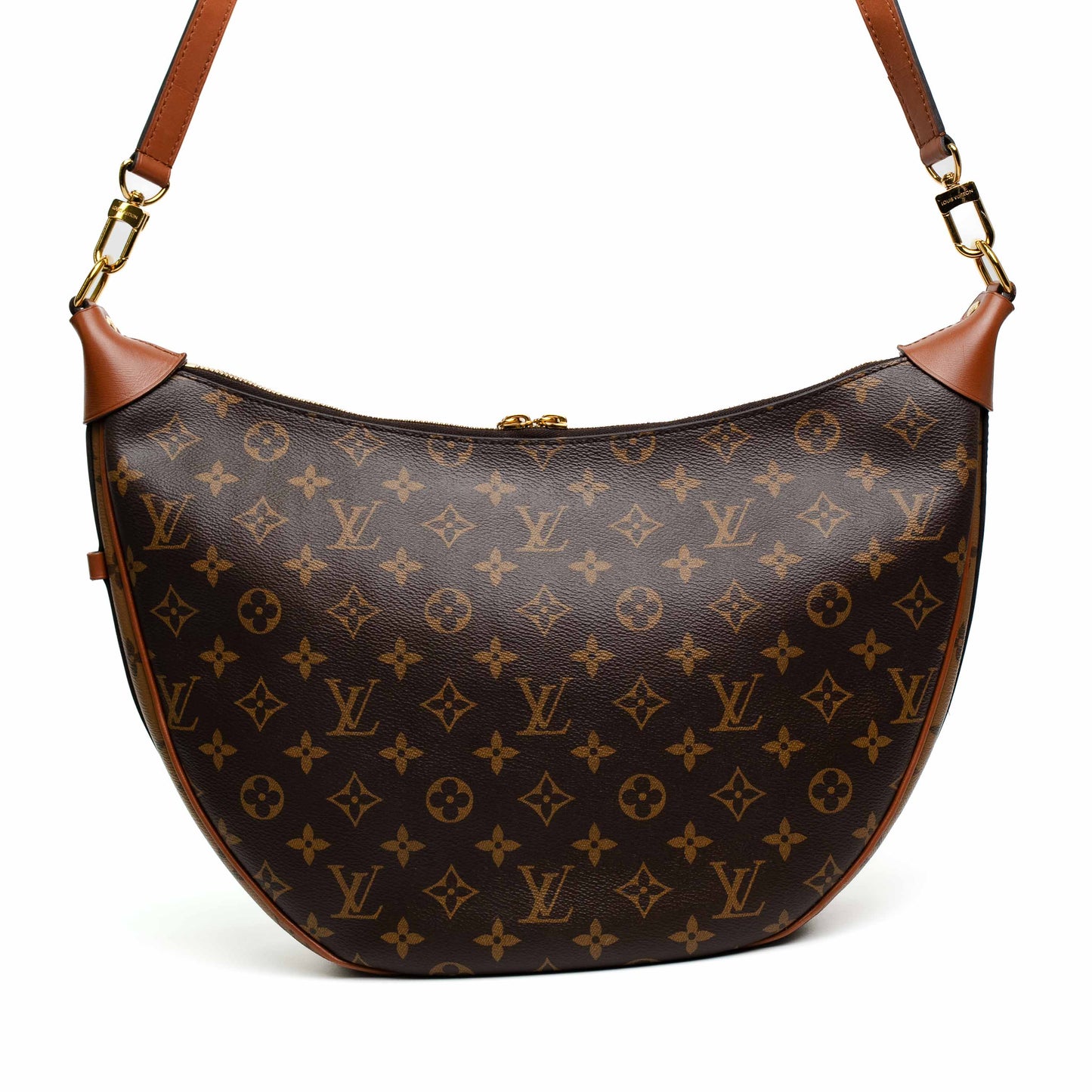 Louis Vuitton Loop Hobo Monogram Bag