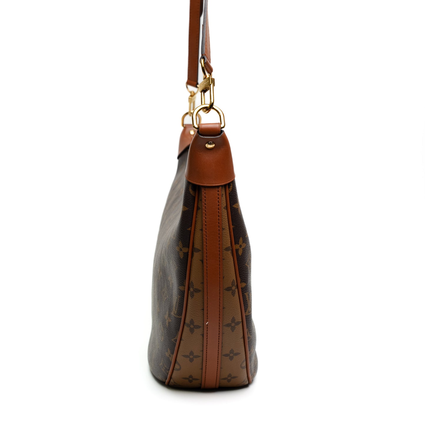 Louis Vuitton Loop Hobo Monogram Bag