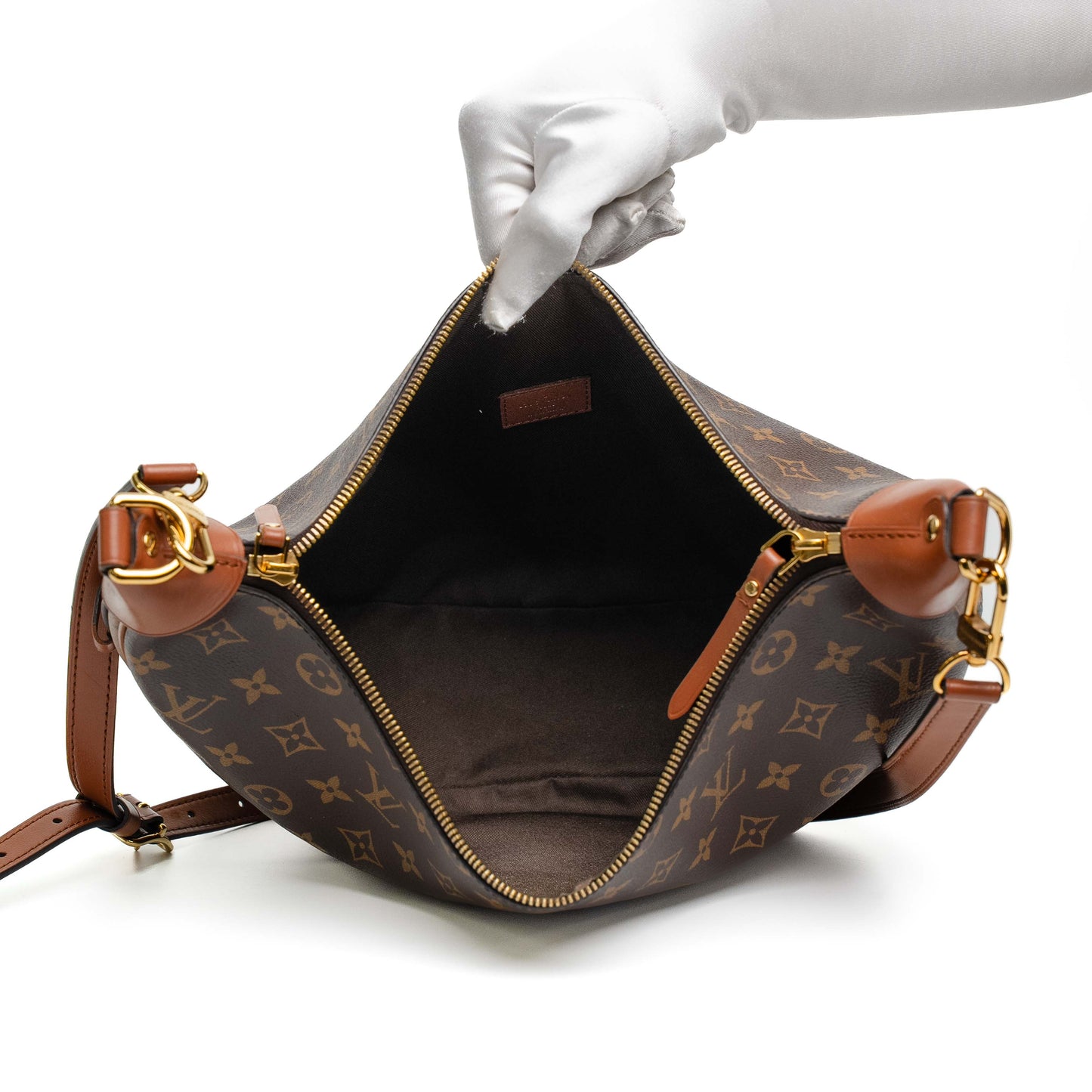 Louis Vuitton Loop Hobo Monogram Bag